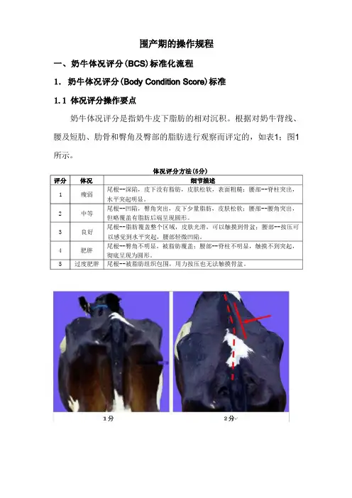 围产期各项流程规范