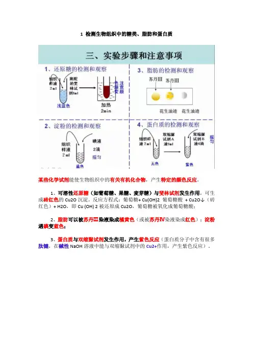 高中生物教材中的16个实验原理