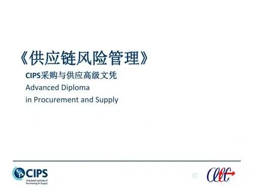 供应链风险管理.ppt