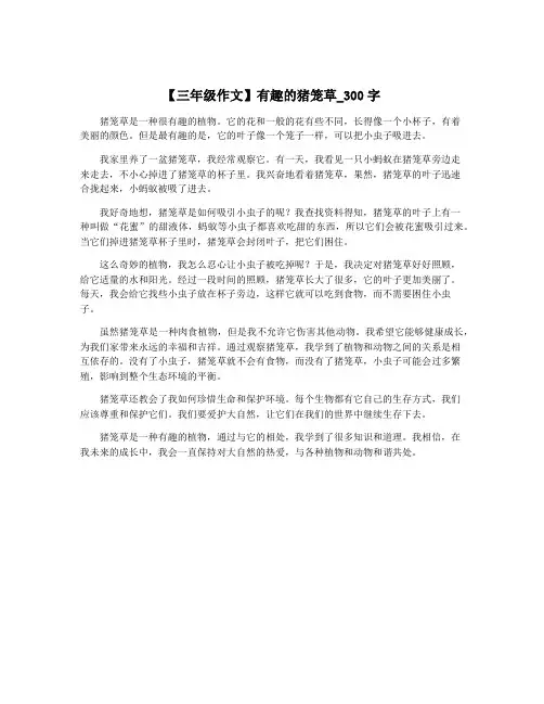 【三年级作文】有趣的猪笼草_300字