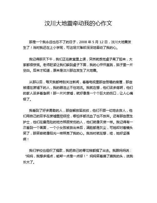 汶川大地震牵动我的心作文