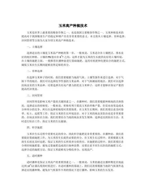 玉米高产种植技术