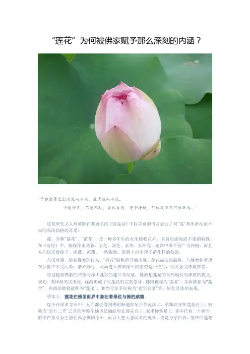 “莲花”为何被佛家赋予那么深刻的内涵？