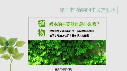 苏教课标版初中生物七年级上册植物生长需要水和无机盐共30张