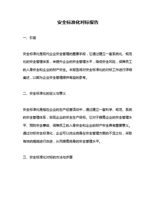 安全标准化对标报告