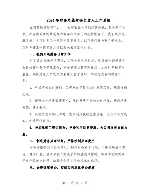 2024年财务总监财务负责人工作总结（3篇）