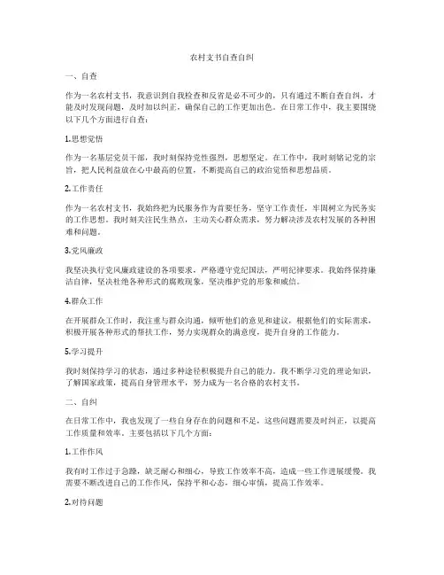 农村支书自查自纠