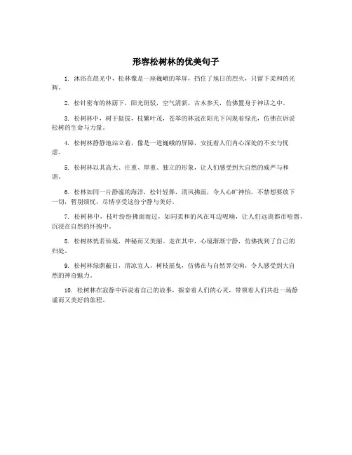 形容松树林的优美句子