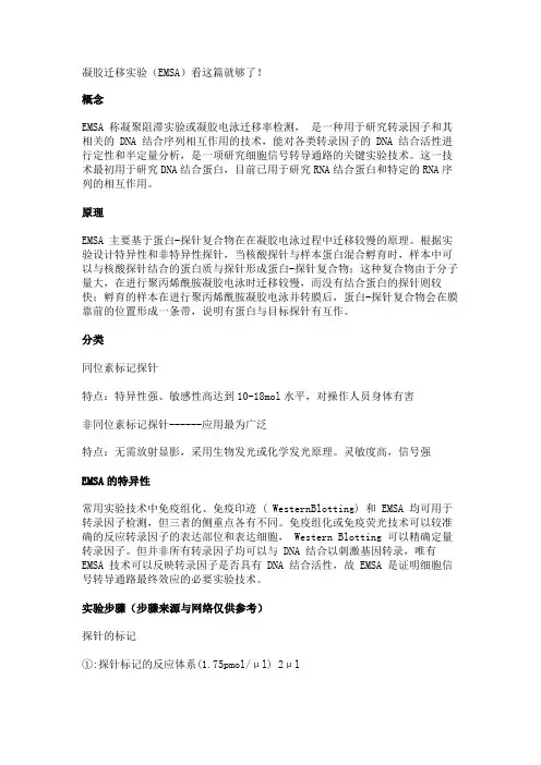 凝胶迁移实验(EMSA)看这篇就够了!