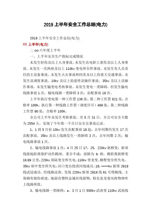 2019上半年安全工作总结(电力)