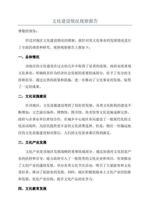 文化建设情况视察报告