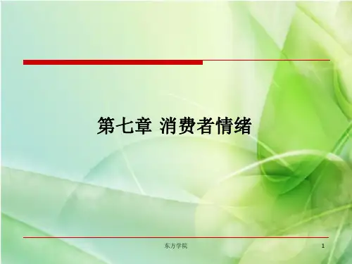 消费者行为学 消费者情绪