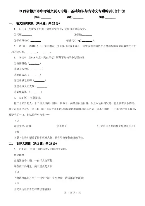 江西省赣州市中考语文复习专题：基础知识与古诗文专项特训(七十七)