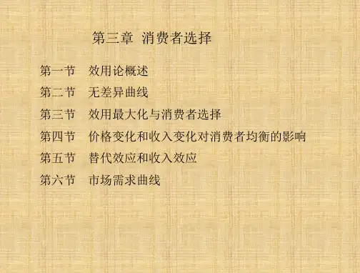 微观经济学第三章-消费者选择