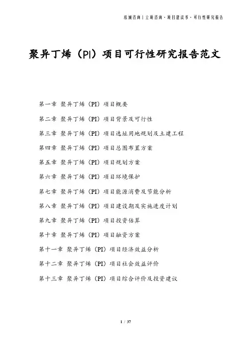 聚异丁烯(PI)项目可行性研究报告范文