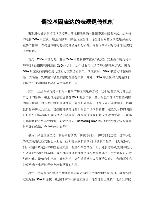 调控基因表达的表观遗传机制