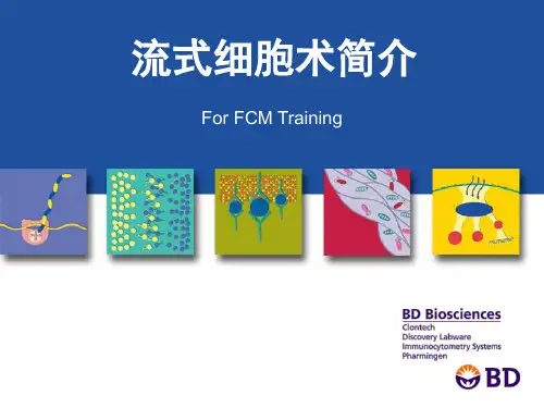 BD流式全面介绍ppt课件
