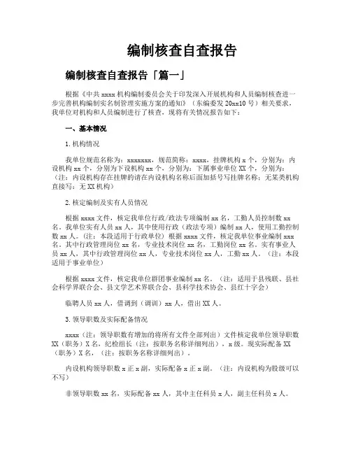 编制核查自查报告