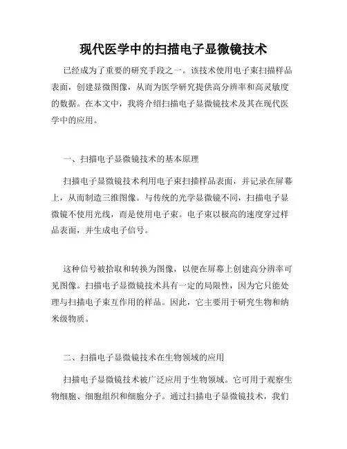 现代医学中的扫描电子显微镜技术