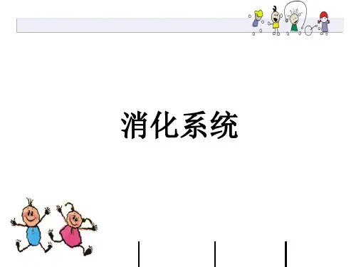幼儿卫生保育：消化系统