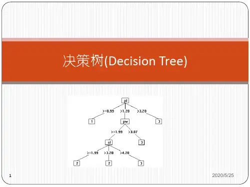 商务智能理论与应用5-决策树概要