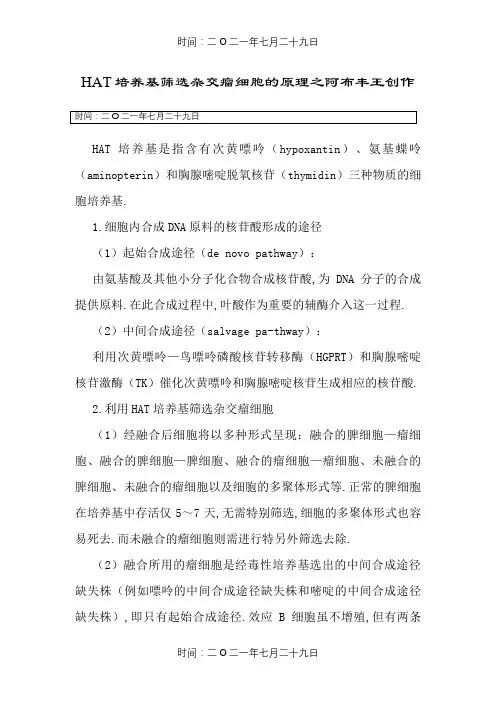 HAT培养基筛选杂交瘤细胞的原理