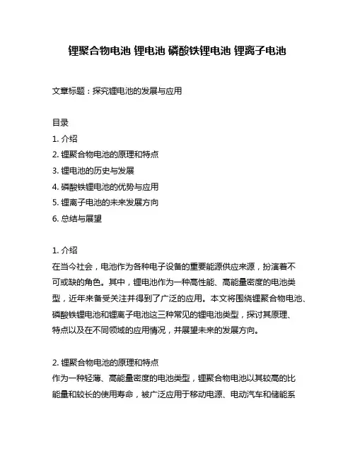 锂聚合物电池 锂电池 磷酸铁锂电池 锂离子电池