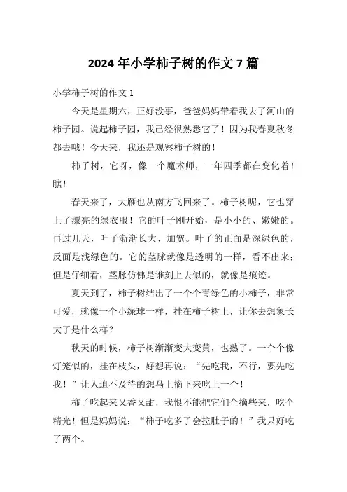2024年小学柿子树的作文7篇