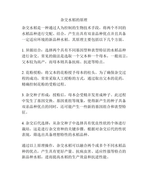 杂交水稻的原理