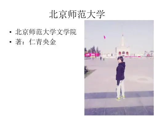 西藏游戏羊拐和骰子