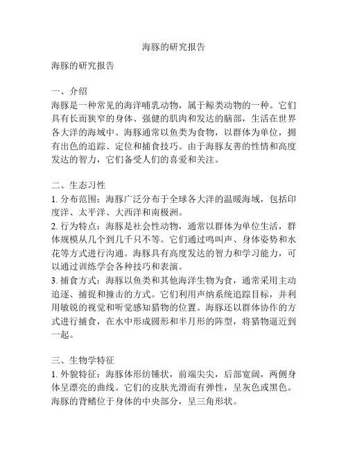 海豚的研究报告
