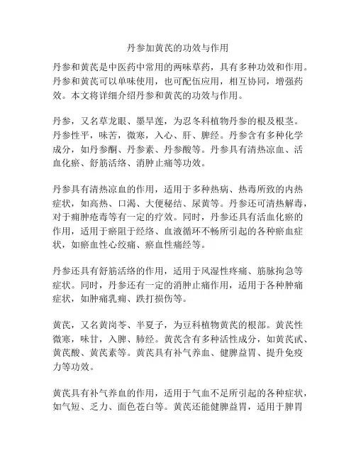 丹参加黄芪的功效与作用