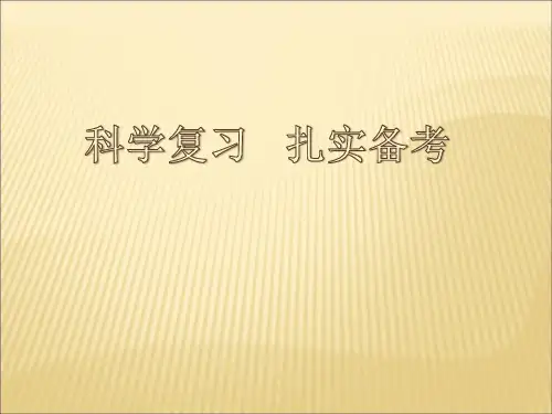 中考数学复习课研讨会 (共56张PPT)