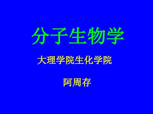 分子生物学-信号转导