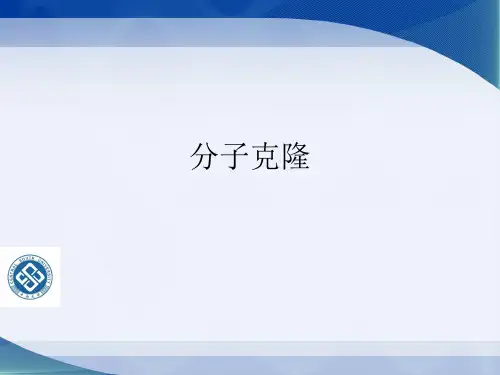 分子克隆
