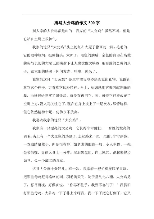 描写大公鸡的作文300字