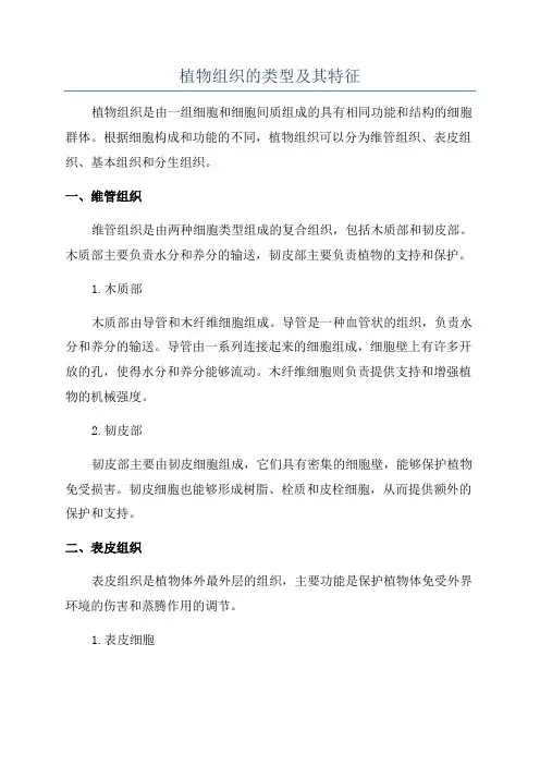 植物组织的类型及其特征