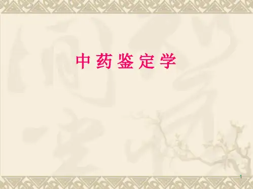 中药鉴定培训课件