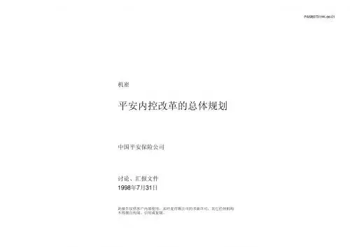 XX公司内控改革的总体规划