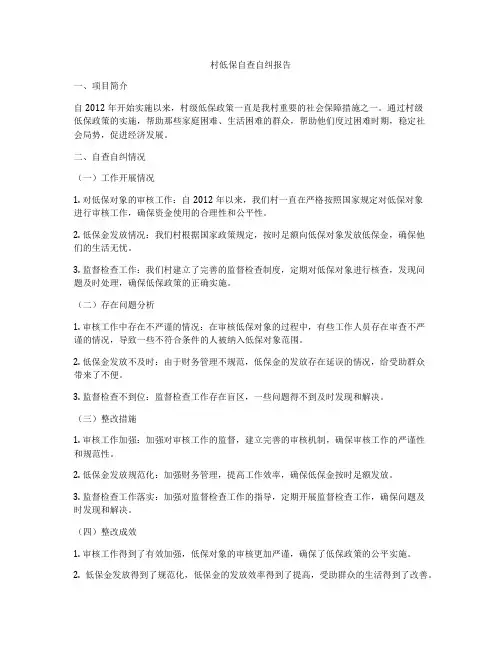 村低保自查自纠报告
