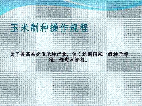 玉米制种操作规程ppt课件