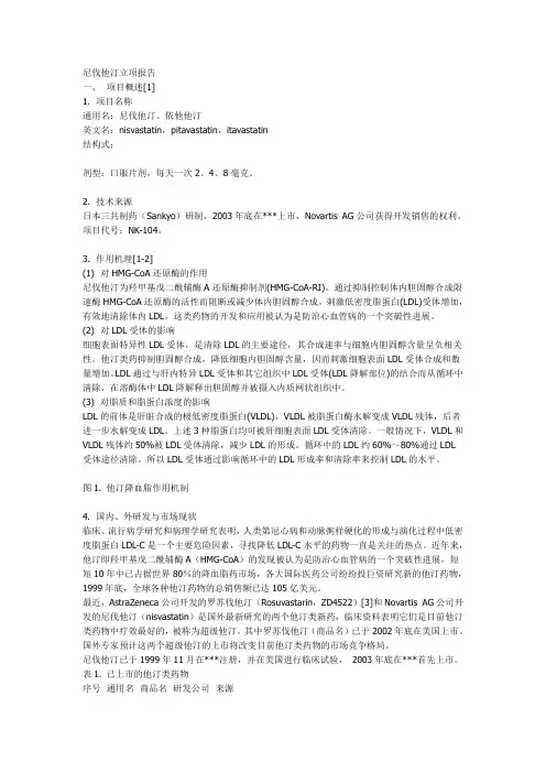 新药立项报告模板