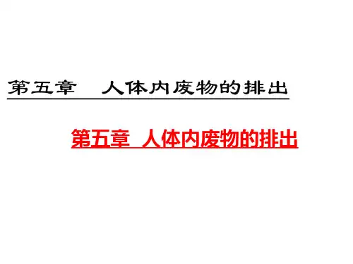 人教版七年级生物下册第四单元第五章人体内废物的排出 课件