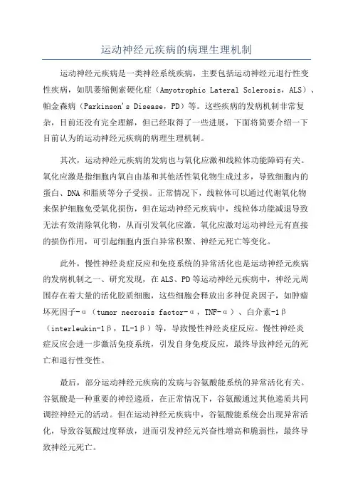运动神经元疾病的病理生理机制