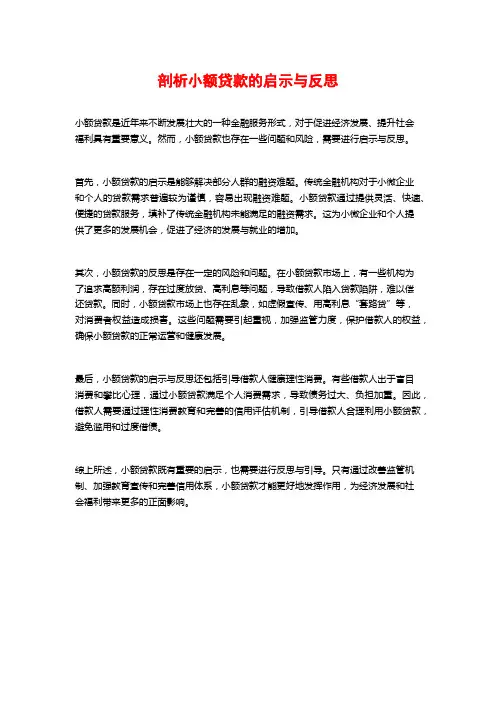 剖析小额贷款的启示与反思