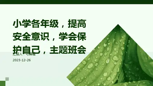 小学各年级, 提高安全意识,学会保护自己,主题班会ppt