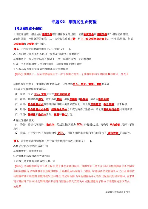 2024年高考生物必备知识大串讲：专题06 细胞的生命历程(解析版)