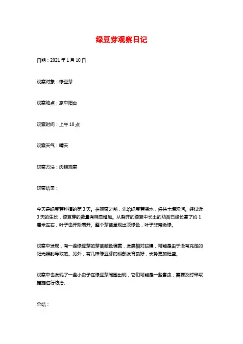 绿豆芽观察日记