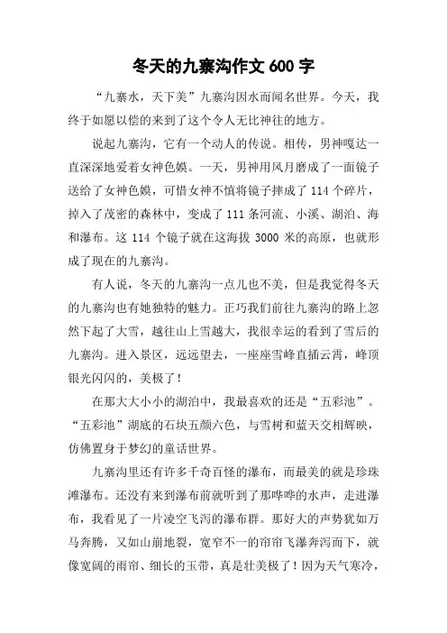冬天的九寨沟作文600字