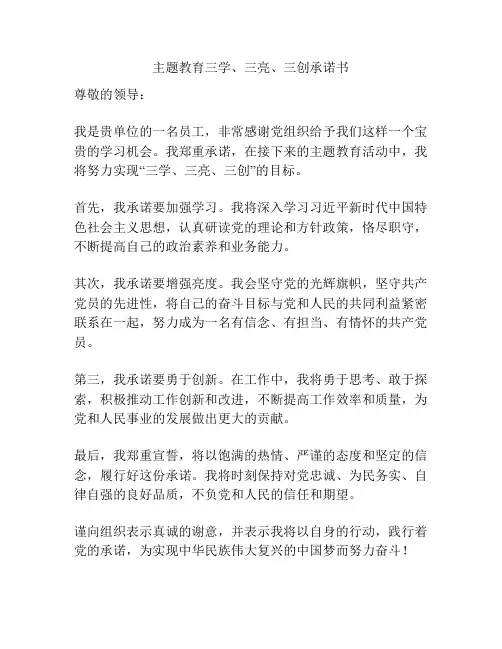 主题教育三学、三亮、三创承诺书
